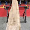 Sappy Elm #013