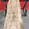 Sappy Elm #013