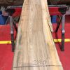 Sappy Elm #013