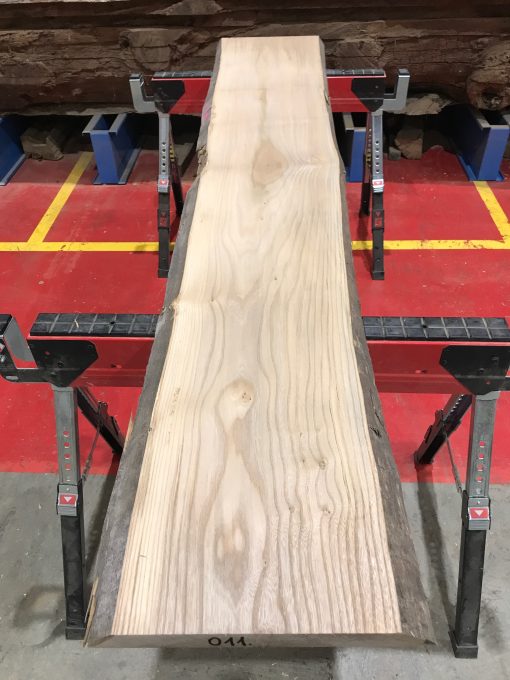Sappy Elm #011