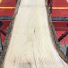 Sappy Elm #009