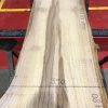 Sappy Elm #009