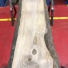 Sappy Elm #016