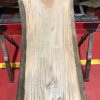 Sappy Elm #016