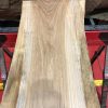Sappy Elm #016