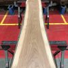 Sappy Elm #027