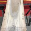 Sappy Elm #007
