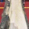 Sappy Elm #006