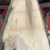 Sappy Elm #006