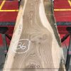 Sappy Elm #006