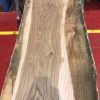 Sappy Elm #006