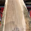 Sappy Elm #006