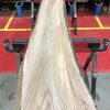 Sappy Elm #026