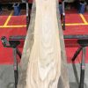 Sappy Elm #003