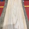 Sappy Elm #003