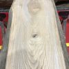 Sappy Elm #003