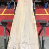 Sappy Elm #003