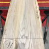 Sappy Elm #003