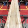 Sappy Elm #001