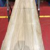 Sappy Elm #001
