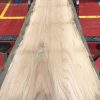 Sappy Elm #025