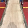 Sappy Elm #025