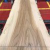 Sappy Elm #025