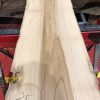 Sappy Elm #025