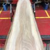 Sappy Elm #023