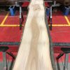 Sappy Elm #022