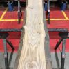 Sappy Elm #021