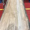 Sappy Elm #020