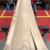 Sappy Elm #020
