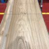 Sappy Elm #020