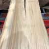 Sappy Elm #020