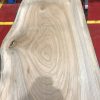 Sappy Elm #018