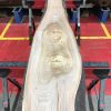 Sappy Elm #017