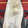 Sappy Elm #017