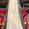 Sappy Elm #017