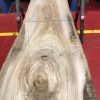 Sappy Elm #017