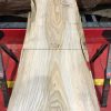 Sappy Elm #017