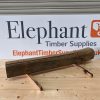 Elm Beam #001