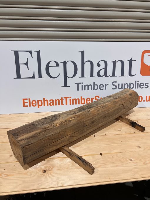 Elm Beam #002