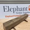 Elm Beam #003