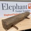 Elm Beam #005