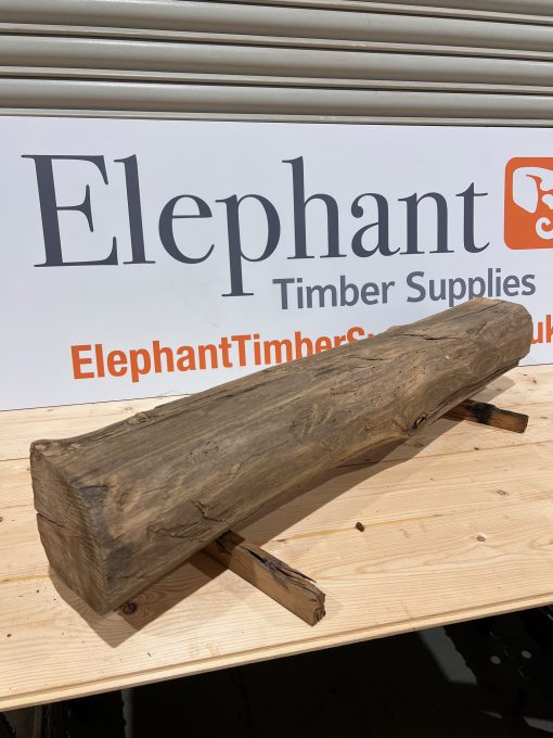 Elm Beam #005