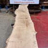 Oak #214
