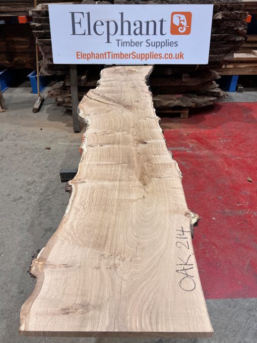 Oak #214