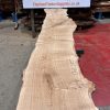 Oak #215