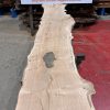 Oak #216